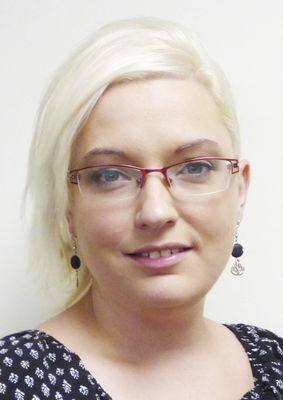 Berrien county local proposals and races